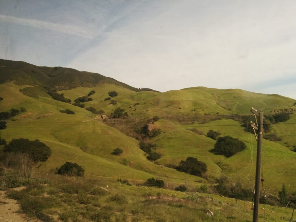 rolling green hills near tomales bay